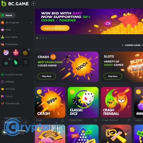 Exploring the Exciting Features of the BC.Game Online Platform